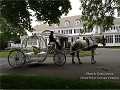 Dream Horse Carriage Company at Happy Tales